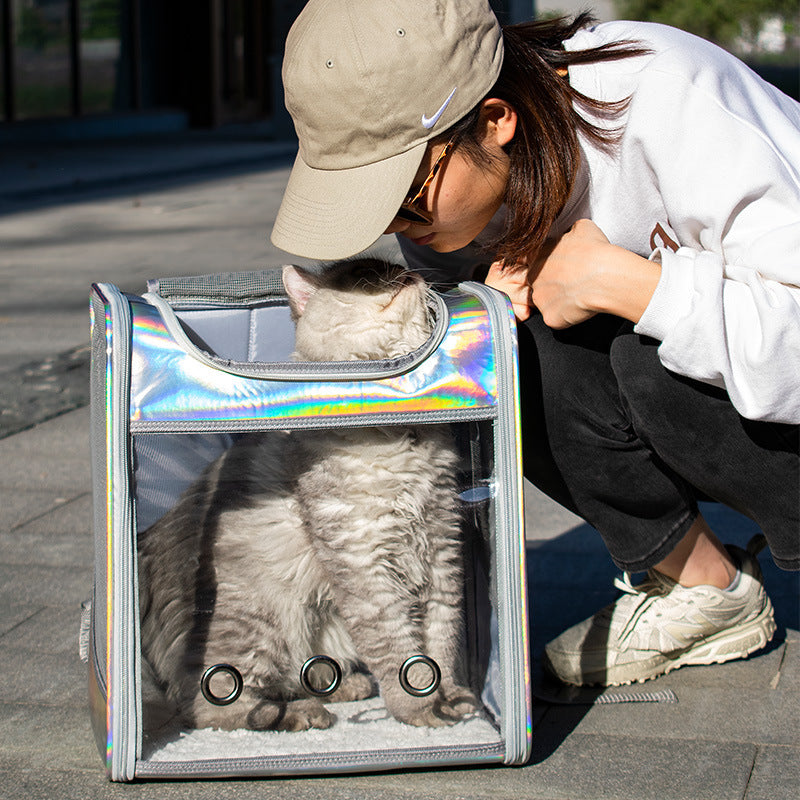 Mochila para perros con láser transparente de gran espacio