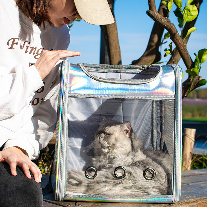 Mochila para perros con láser transparente de gran espacio