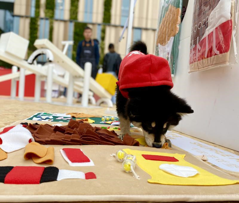 Animaux à la maison, promener le chien pour soulager l'ennui, artefact d'entraînement des chiots, Puzzle, jouet seul