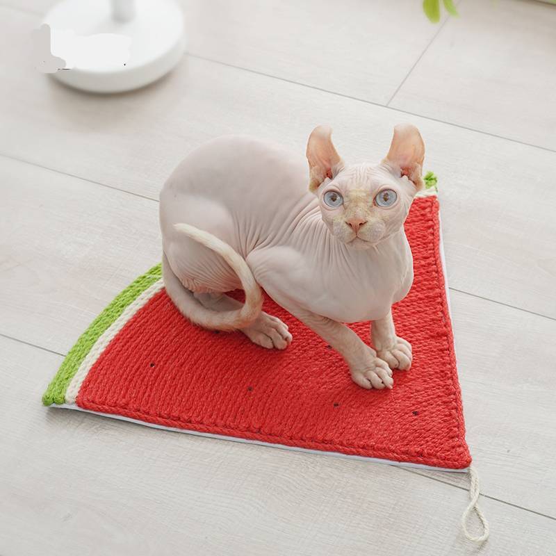 Planche à gratter créative pour chat en forme de pastèque fixée au mur