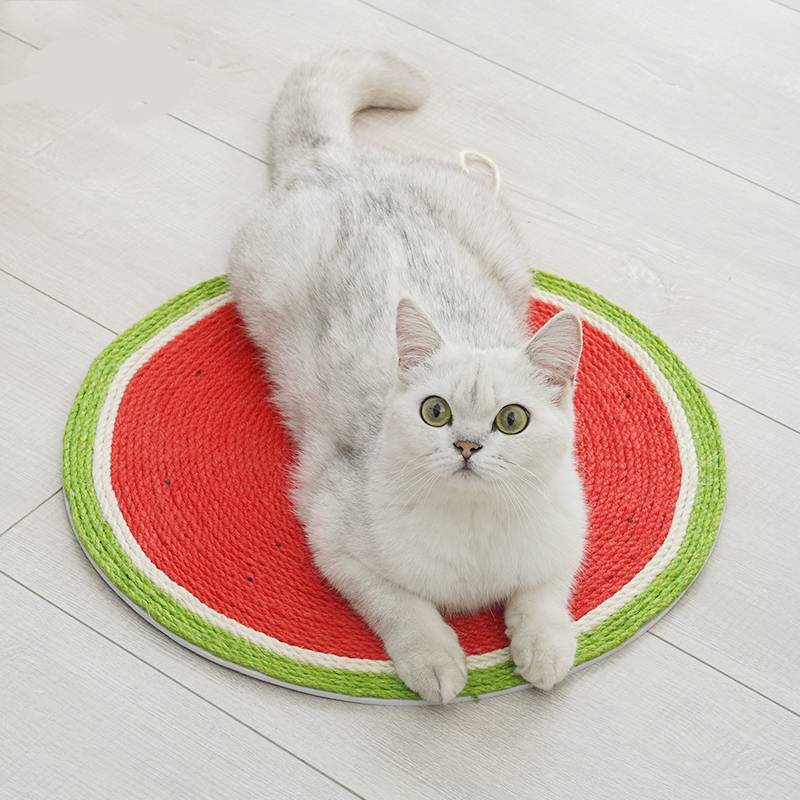 Planche à gratter créative pour chat en forme de pastèque fixée au mur