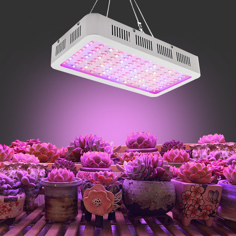 Luz LED de crecimiento de plantas de 1200W.