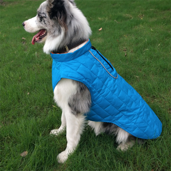 Vêtements pour chien à carreaux bicolores