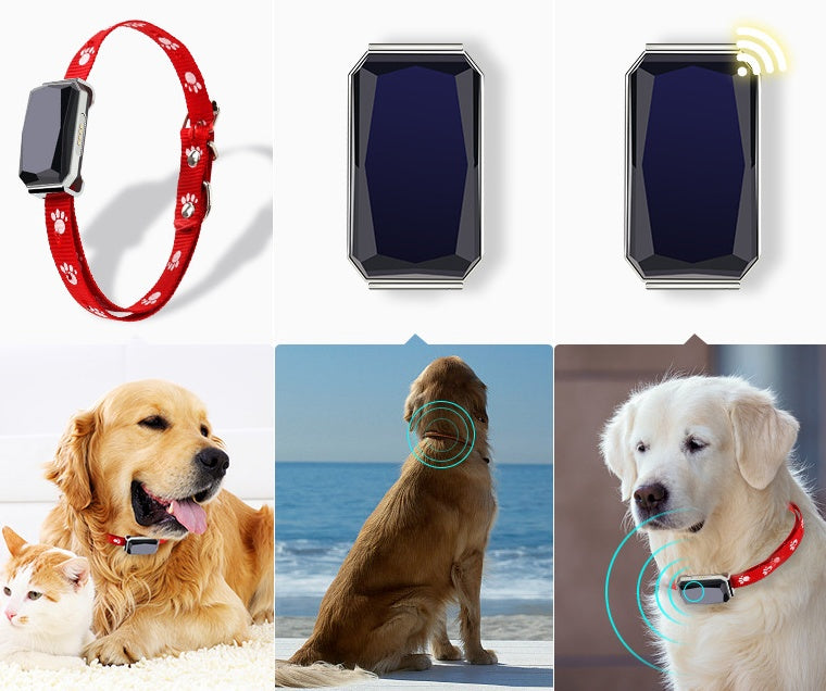 Beidou GPS pet positioning collar