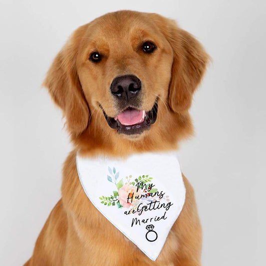 Perro blanco de saliva del día de San Valentín