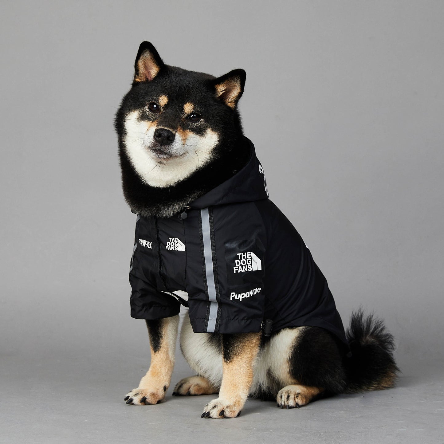 Chien coupe-vent et imperméable, grand