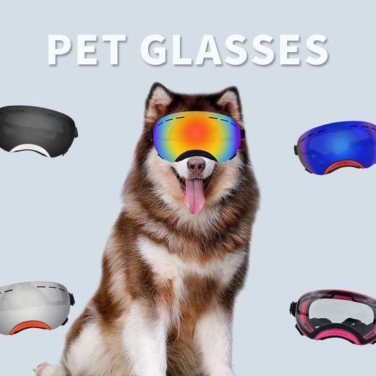 Lunettes coupe-vent pour animaux de compagnie avec protection UV