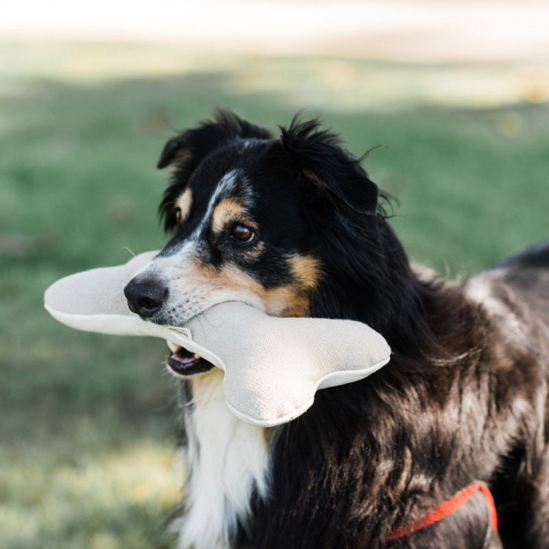 Varilla molar para morder huesos de juguete para perros de terciopelo de algodón