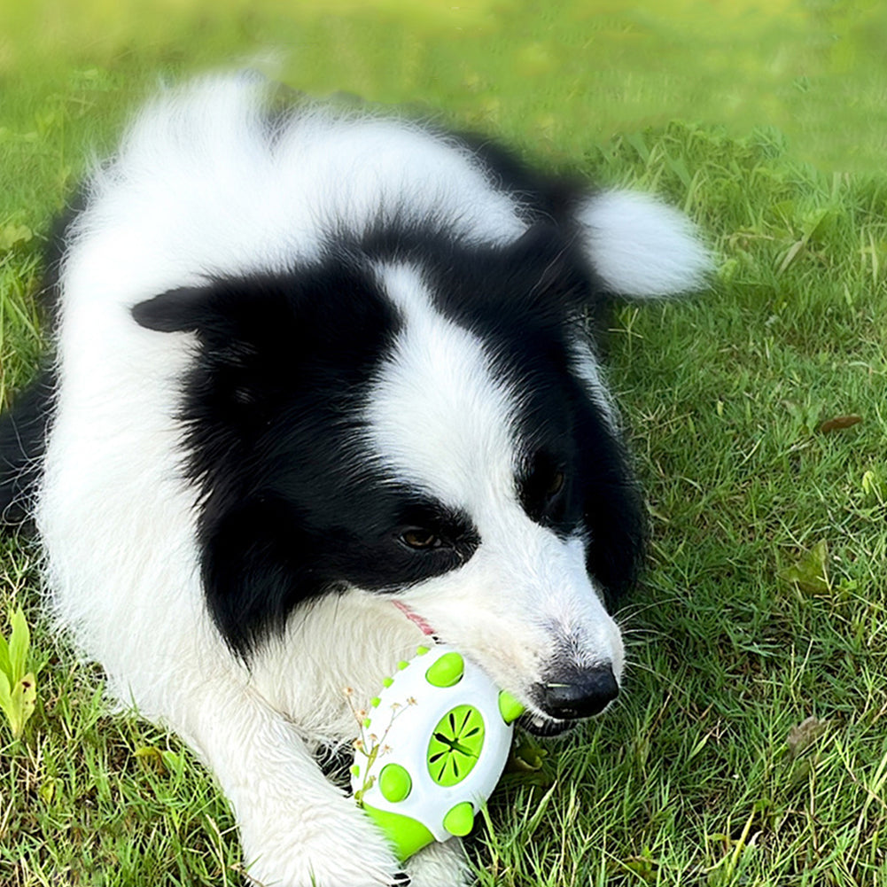 Jouet pour chien en forme de Phedgehog, jouets alimentaires qui fuient pour petits et grands chiens, jouets à mâcher pour chat, nettoyage des dents d'animaux, jouets indestructibles pour chiots, balle, bâton de nettoyage des dents molaires