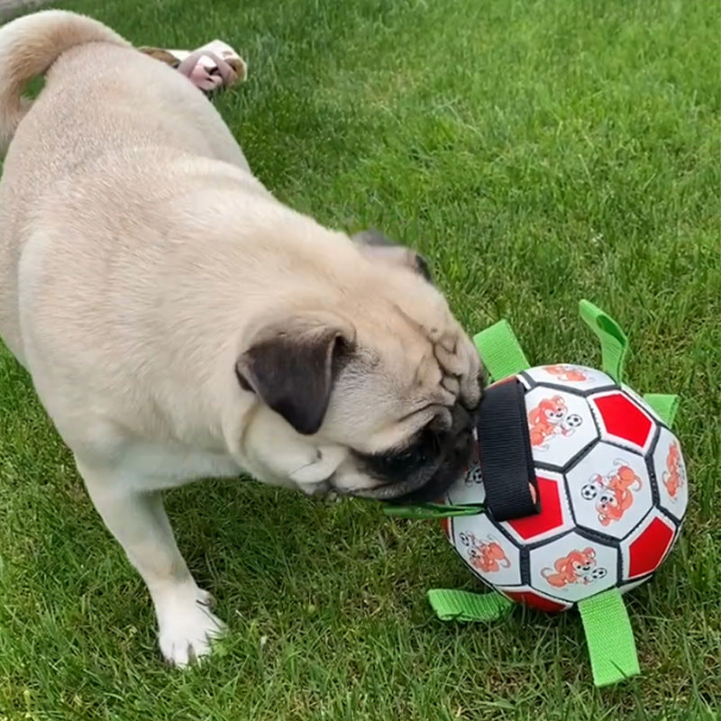 Juguete molar resistente a las mordeduras de fútbol para perros