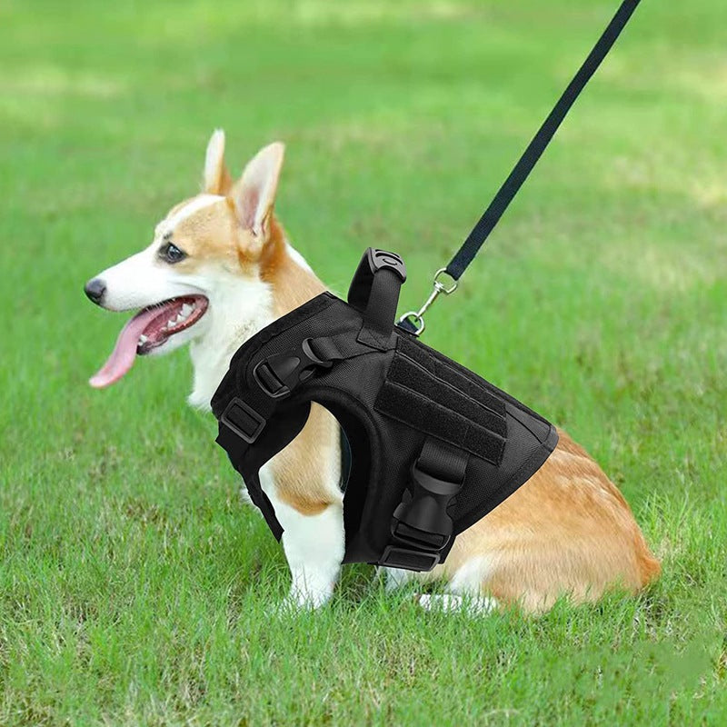 Gilet en Nylon hydrofuge, entraînement tactique, sangle de poitrine pour chien de berger allemand, antidéflagrant