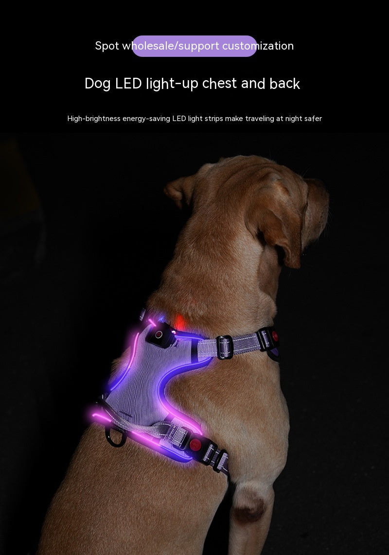 Sangle de poitrine lumineuse LED rechargeable par USB pour animaux de compagnie