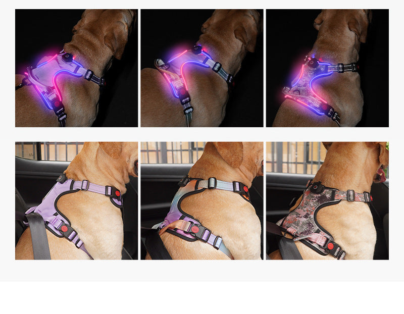 Sangle de poitrine lumineuse LED rechargeable par USB pour animaux de compagnie