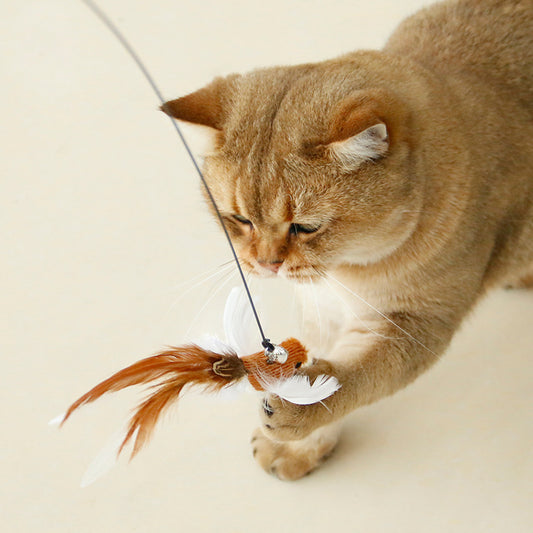 Pájaro de imitación con ventosa, pluma, alambre de acero largo, soporte para cepillo largo, palo para gato, cabeza de repuesto, juguete para gato, mascota