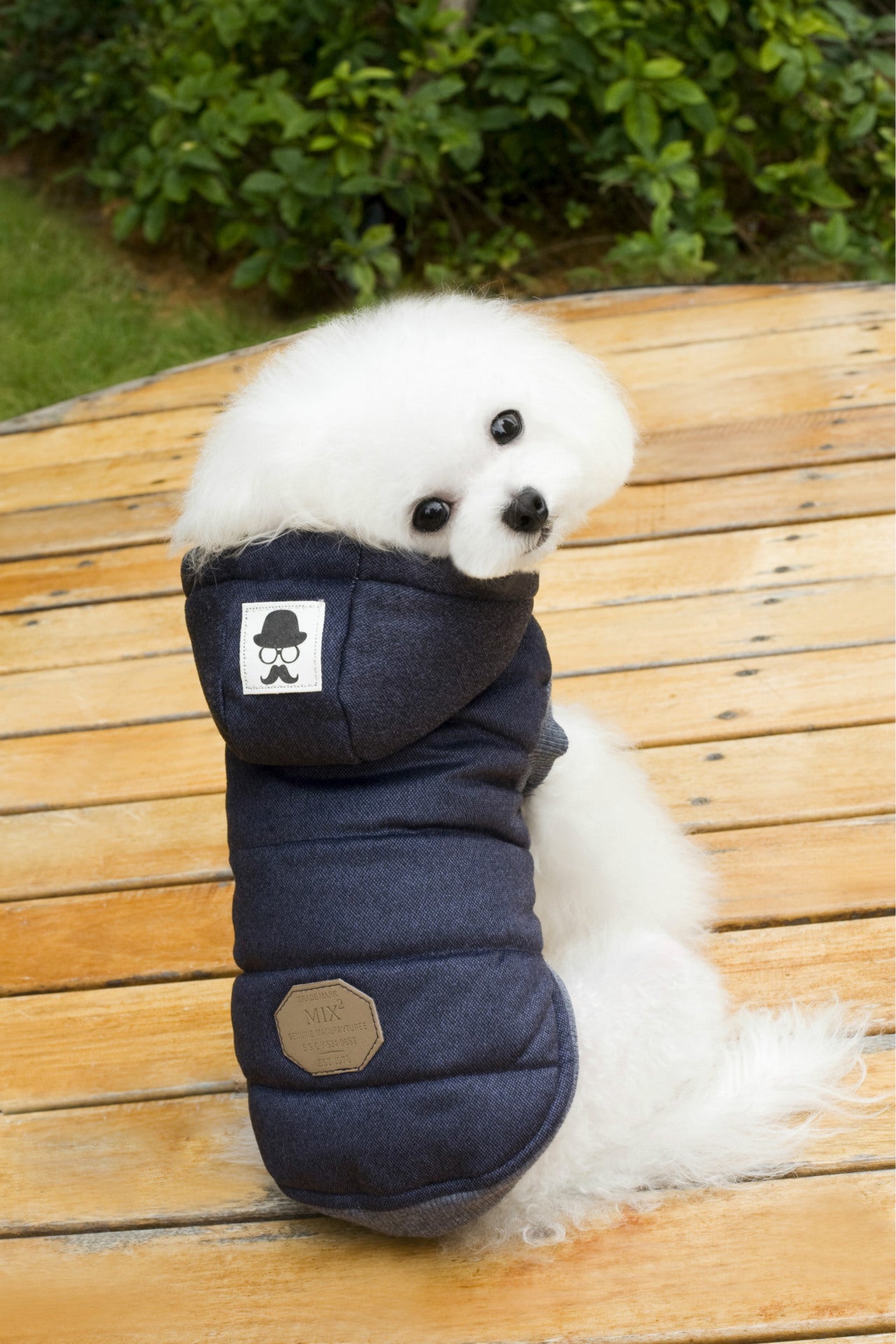 Ropa para mascotas Teddy Ropa acolchada de algodón de dos patas