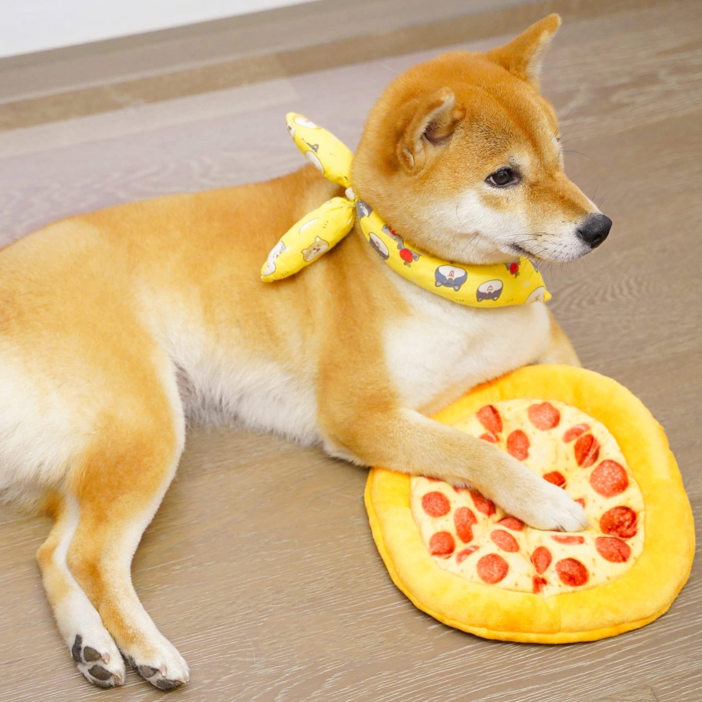 Juguete de peluche para mascotas, forma de pizza que rechina los dientes, juguete duradero para masticar perros, suministros interactivos 