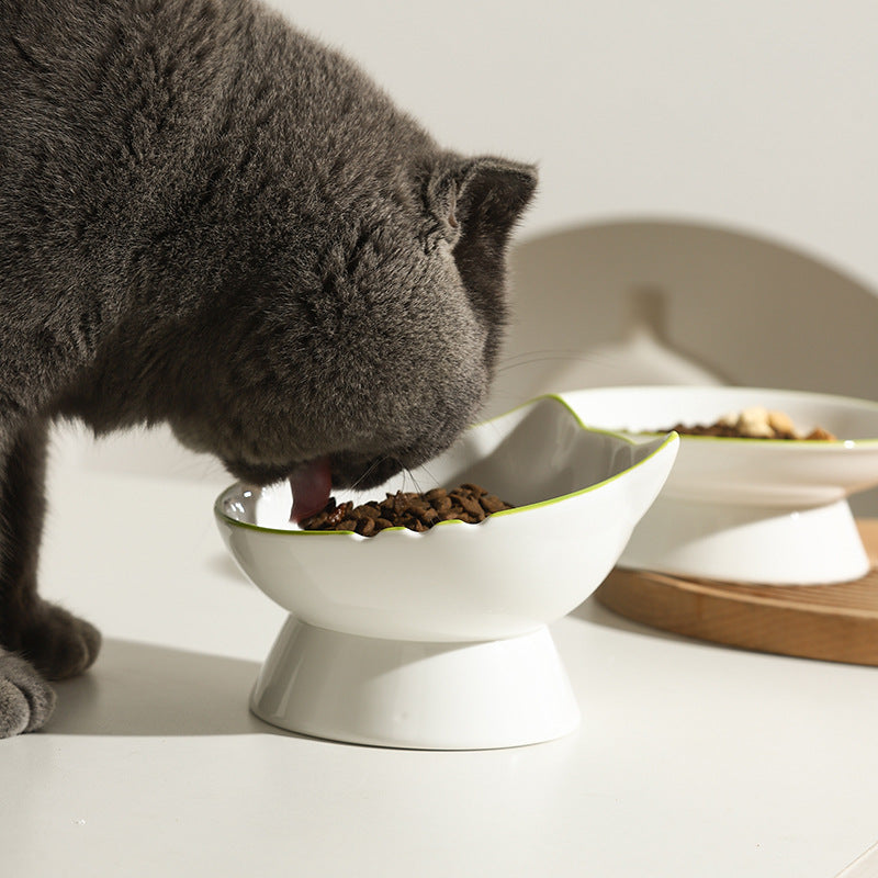 Bol de nourriture pour chat à support cervical en céramique