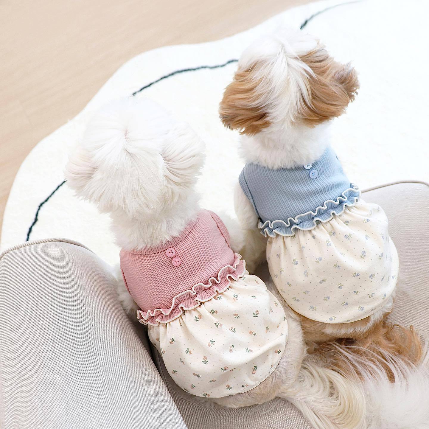 Chaleco con falda de burbujas floral y bufanda pequeña cálida y linda