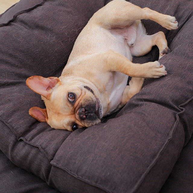 Coussin pour chien