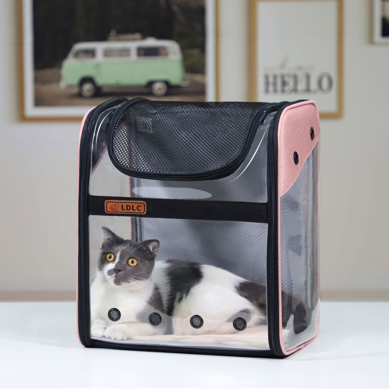 PVC transpirable de gran capacidad para gatos, cápsula espacial, bolsa para gatos, mochila portátil para perros y mascotas, doblez