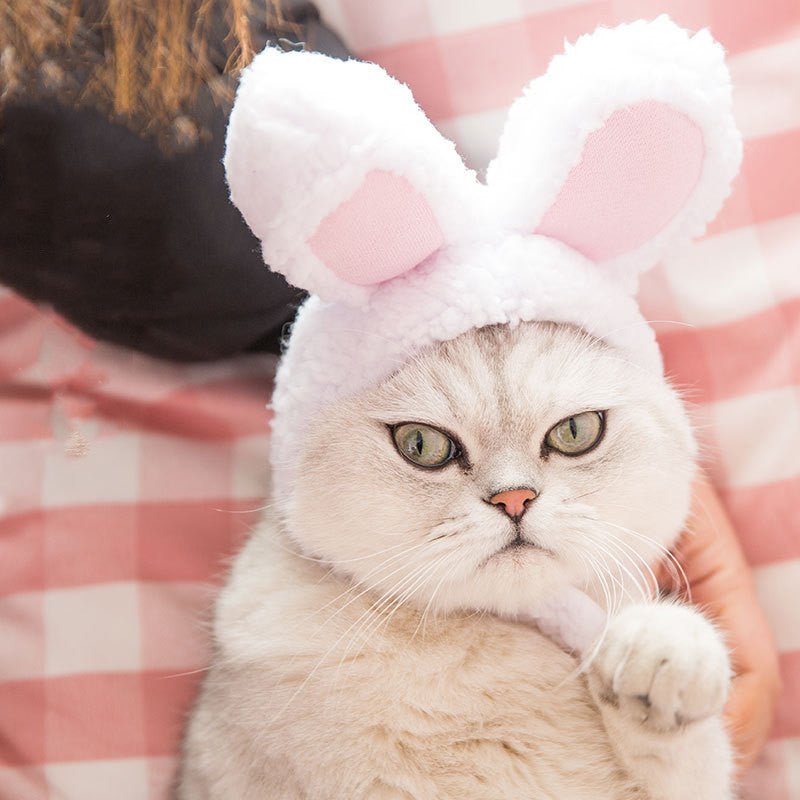 Gorro divertido para perro y gato, disfraz de fiesta de año nuevo, gorro de conejo cálido