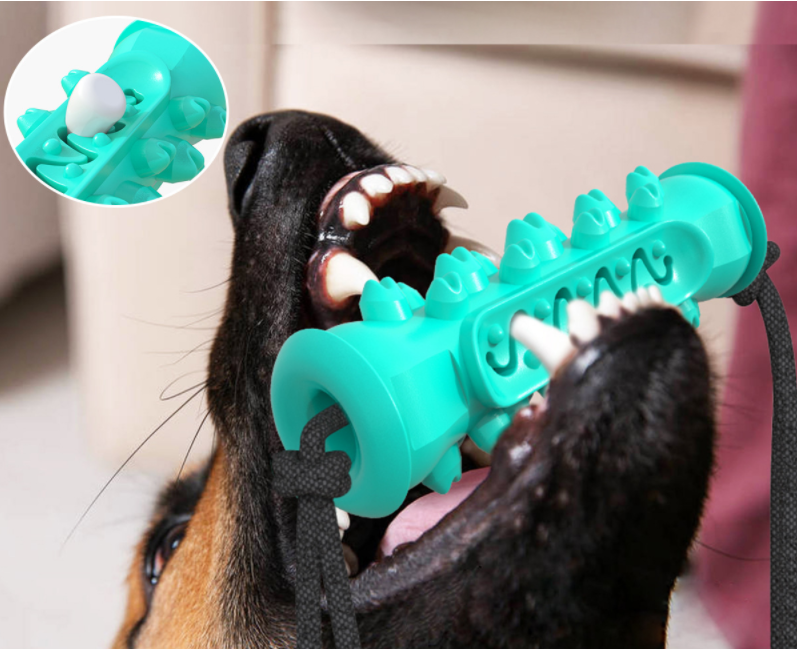 Juguetes para masticar para perros, cepillo de dientes para mascotas, huesos de goma, limpieza de dientes