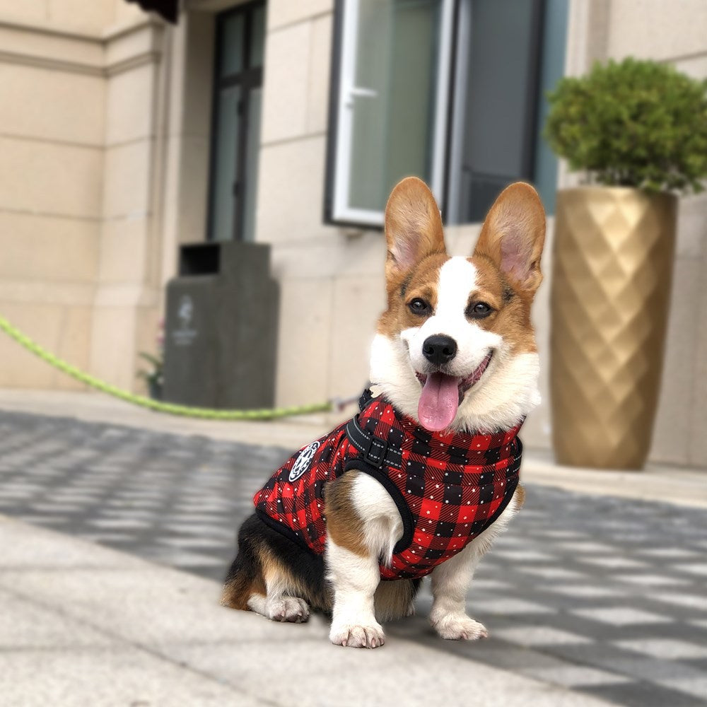 Ropa de otoño e invierno, ropa cálida para mascotas, cinta reflectante impermeable, pecho, espalda, algodón para perros