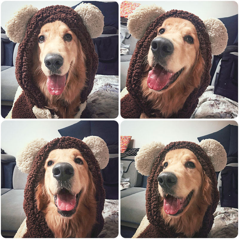 Traje de mascota de cuatro patas de perro labrador de invierno