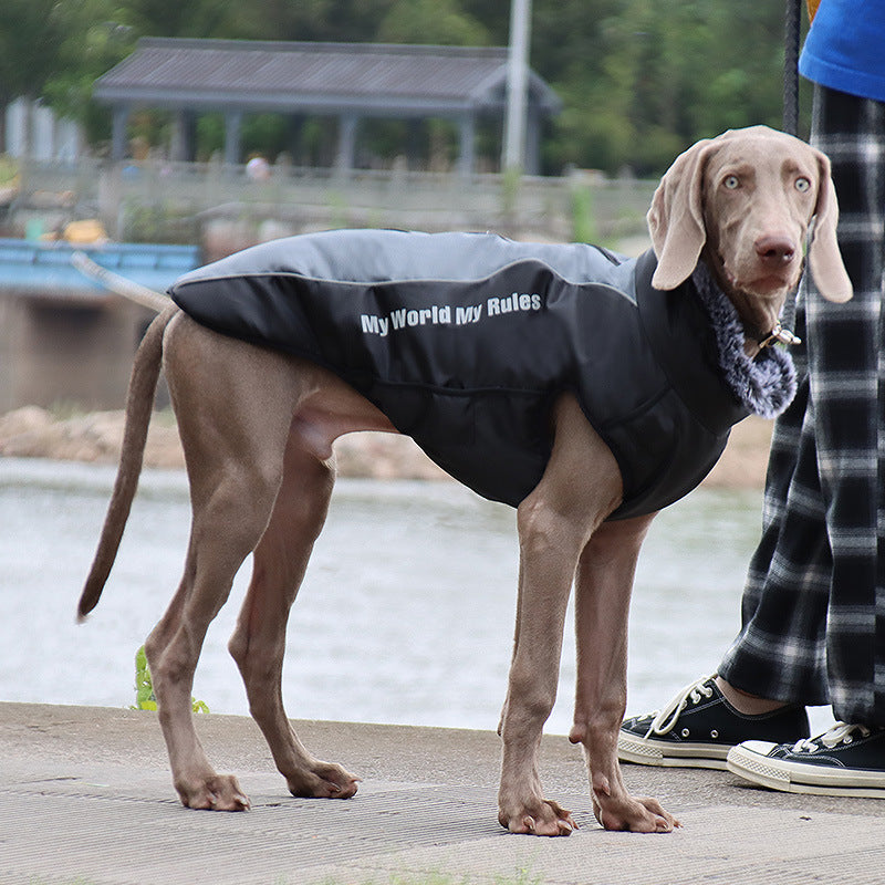 Winter warm pet jacket