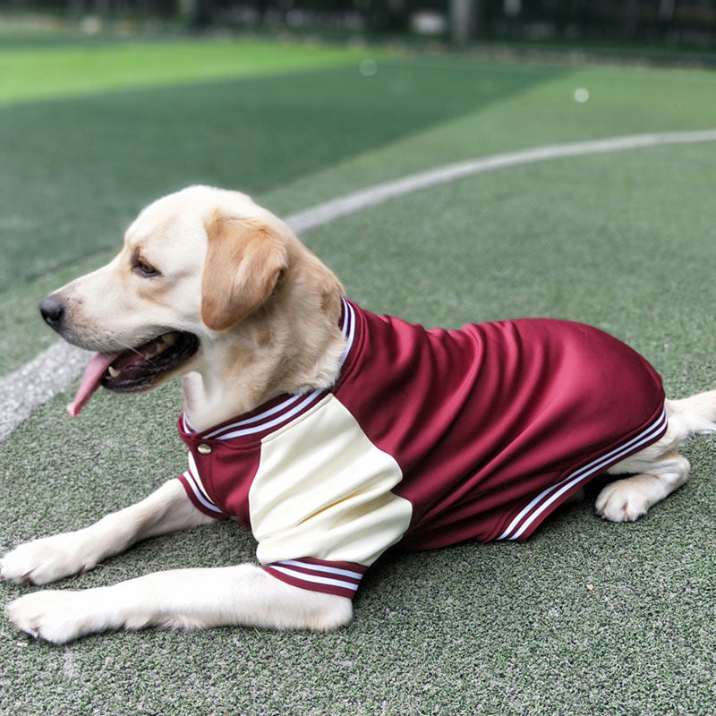 Baseball Uniform Pet Clothing Medium Large Dog Golden Retriever Labrado