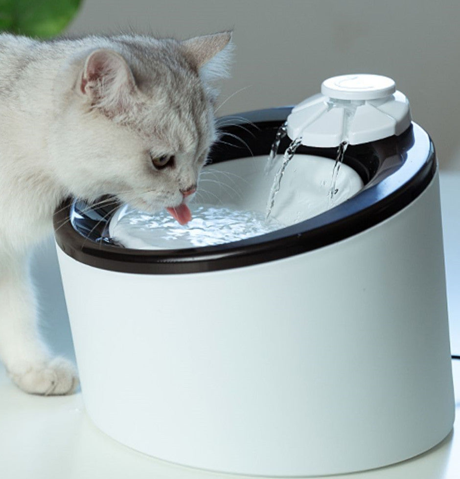 Machine à boire automatique pour chats et chiens