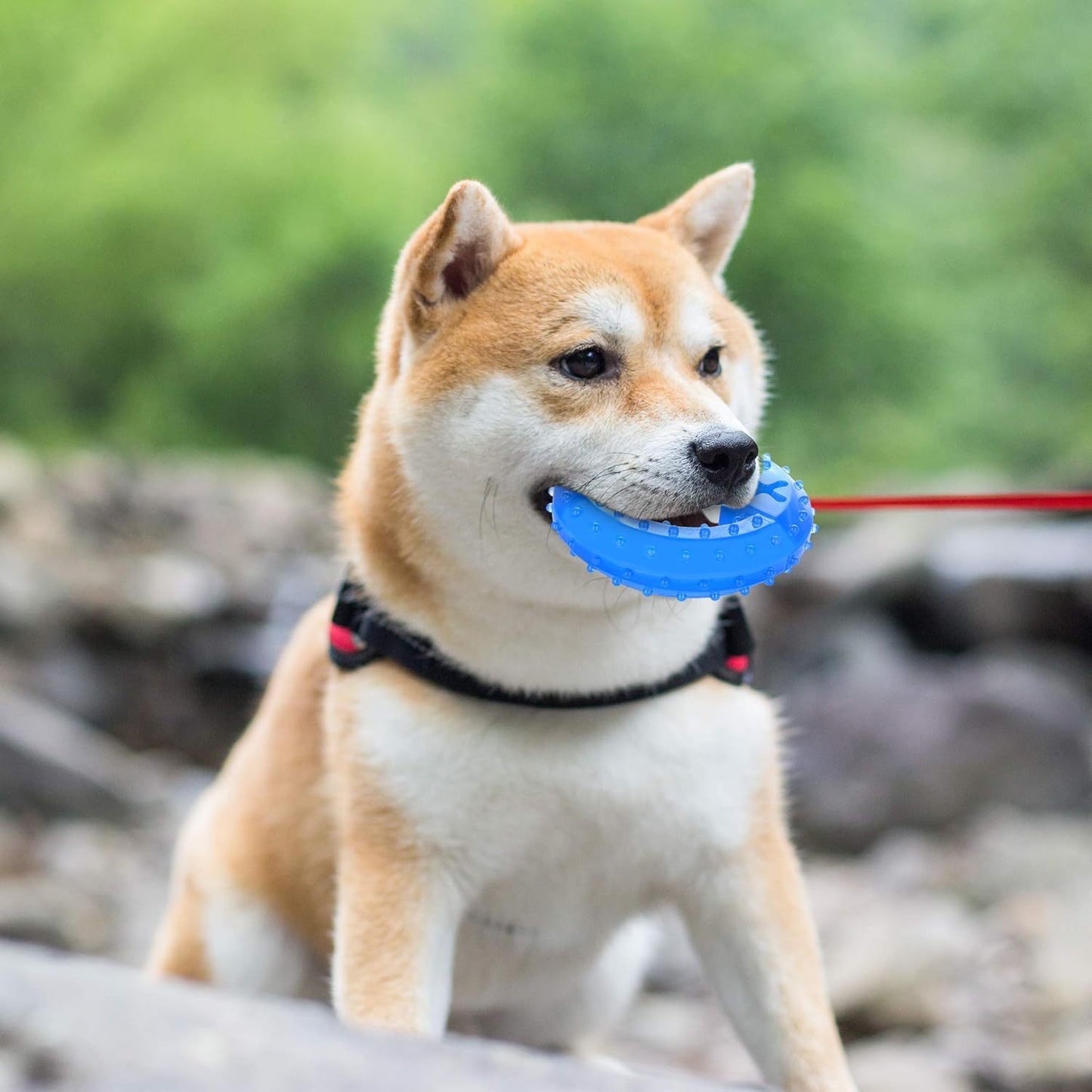 Juguete masticable refrescante para mordedores de mascotas para perros Juguete para la dentición para cachorros Adecuado para golosinas para más