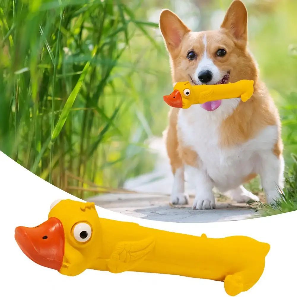 Jouet en latex pour chien qui grince des dents, jouet durable pour chien, motif canard jaune mignon, jouet couineur pour chien, soulagement de l'ennui