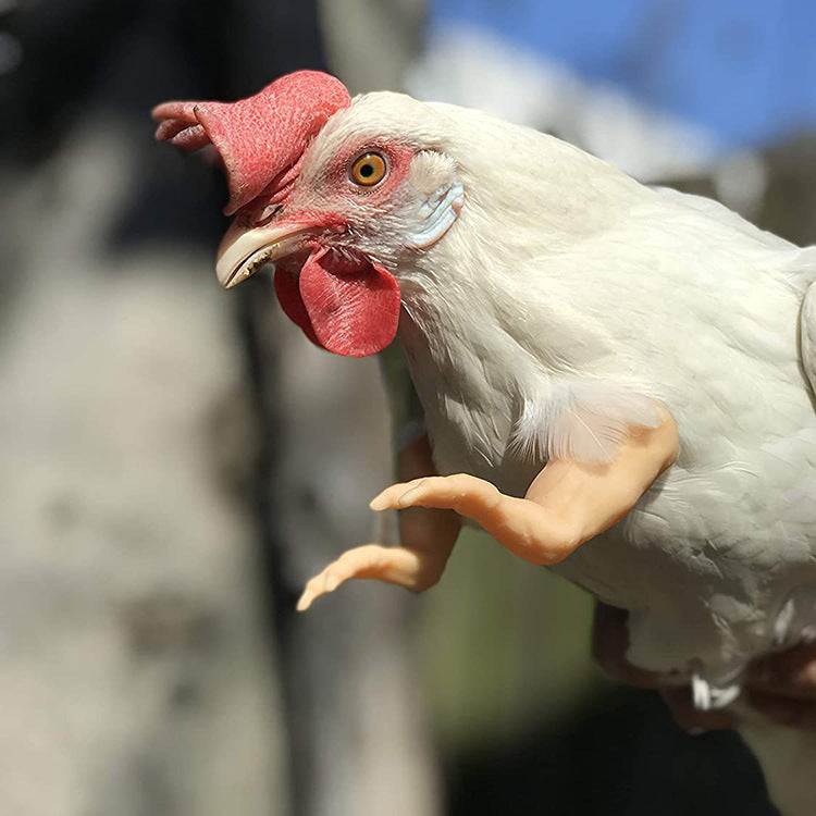 Los juguetes para pollos incluyen brazos musculosos fuertes, brazos con pulgares hacia arriba y brazos de pollo T-Rex para ponerles a los pollos