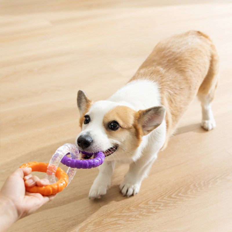 Floating Water Dog Toys Pet Flying Disk Training Ring Interactive Toy Puller Resistant Aggressive Chewing For Small Medium Dogs