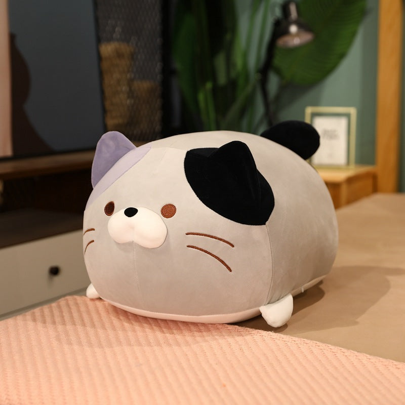 Jouet en peluche de chat boulette japonaise poupée mignonne grosse maison gros chat gros oreiller lit câlin poupée en gros