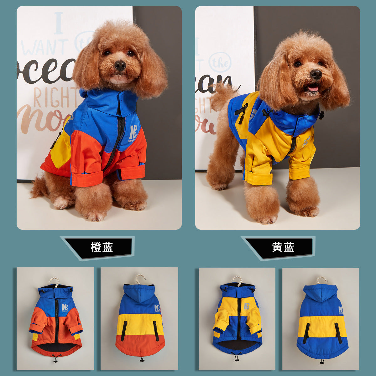 Ropa para perros Chaqueta Otoño e Invierno Impermeable Cálido Impermeable