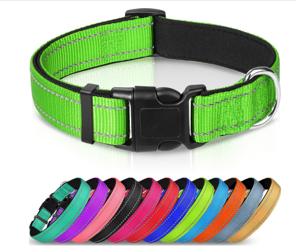 Collier pour chien réglable en sangle en nylon réfléchissant