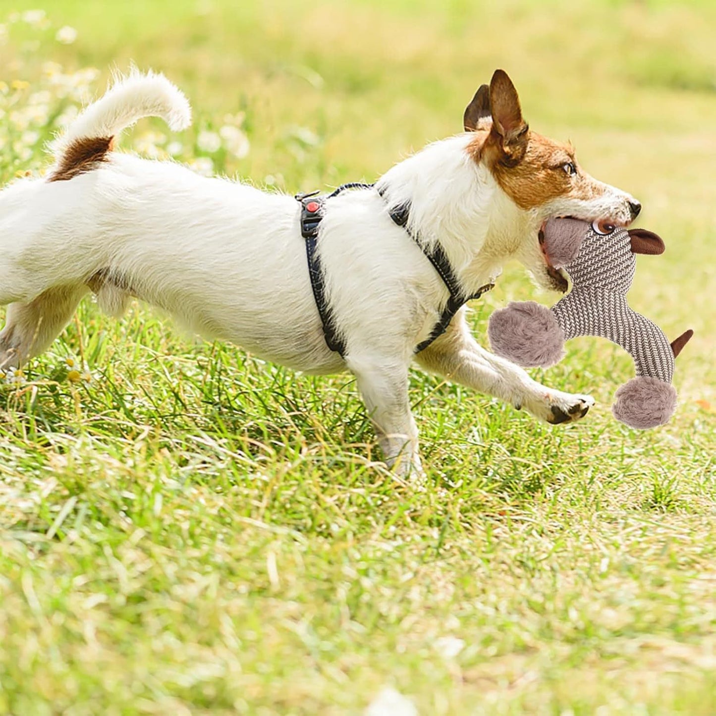 Juguetes chirriantes para perros grandes, peluche de perro, juguete interactivo para perros, juguete masticable de peluche para perros, juguetes estimulantes para mascotas con chirridos para perros medianos y grandes, cachorros