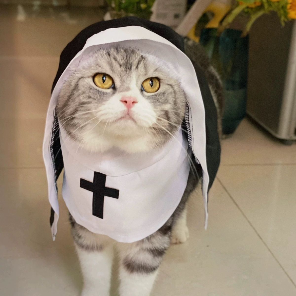 PET SHOW Nun Dog Costume For Small Medium Dogs Halloween Cosplay Outfit Black White Cloak Dress Up Pets Apparel Holiday Party Clothes Boys Girls