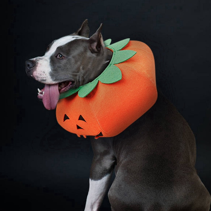 Collares de calabaza de Halloween para mascotas, lindos accesorios de cosplay para mascotas