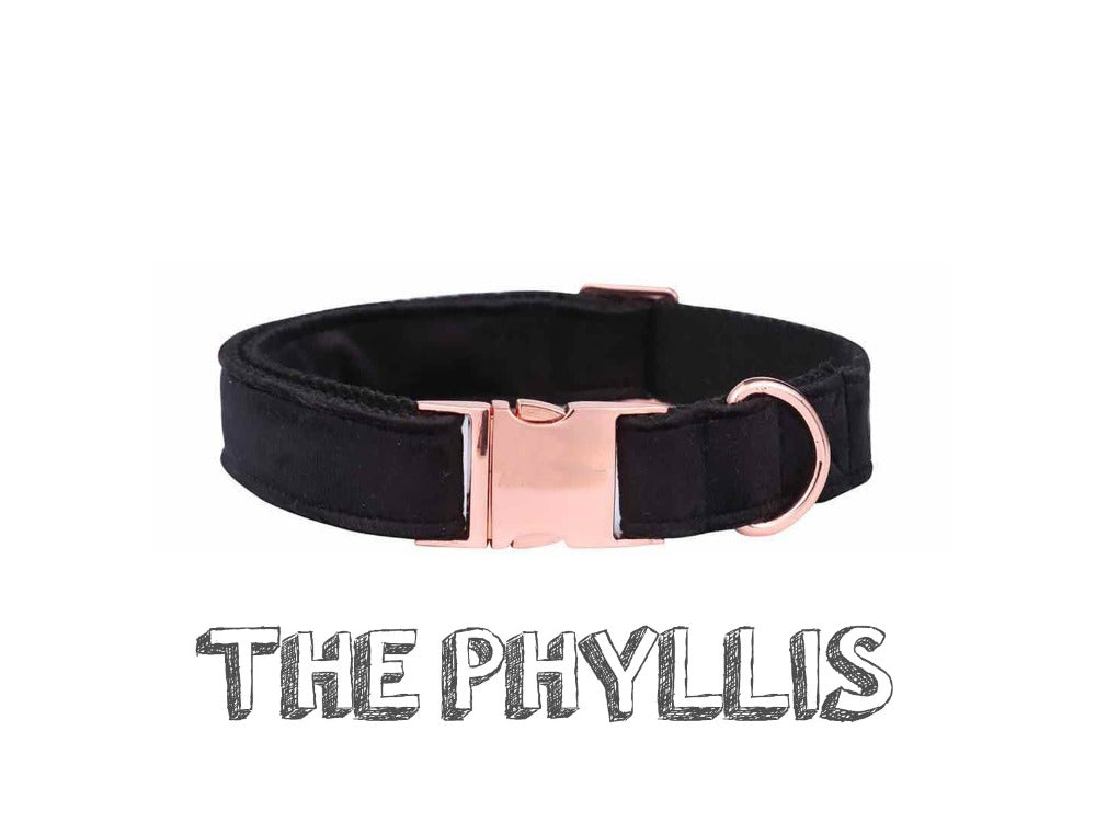 Collier et laisse souples noirs de noël, pattes de Style Unique, cadeaux pour chiens et chats