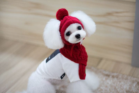 Tide pet clothes dog hat bib suit Teddy Bomei wool scarf autumn winter hat pet scarf