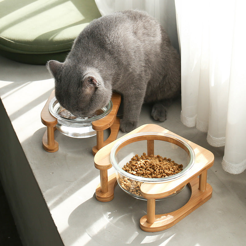 Cuenco de cristal para comida para gatos, cuenco para comida para gatos