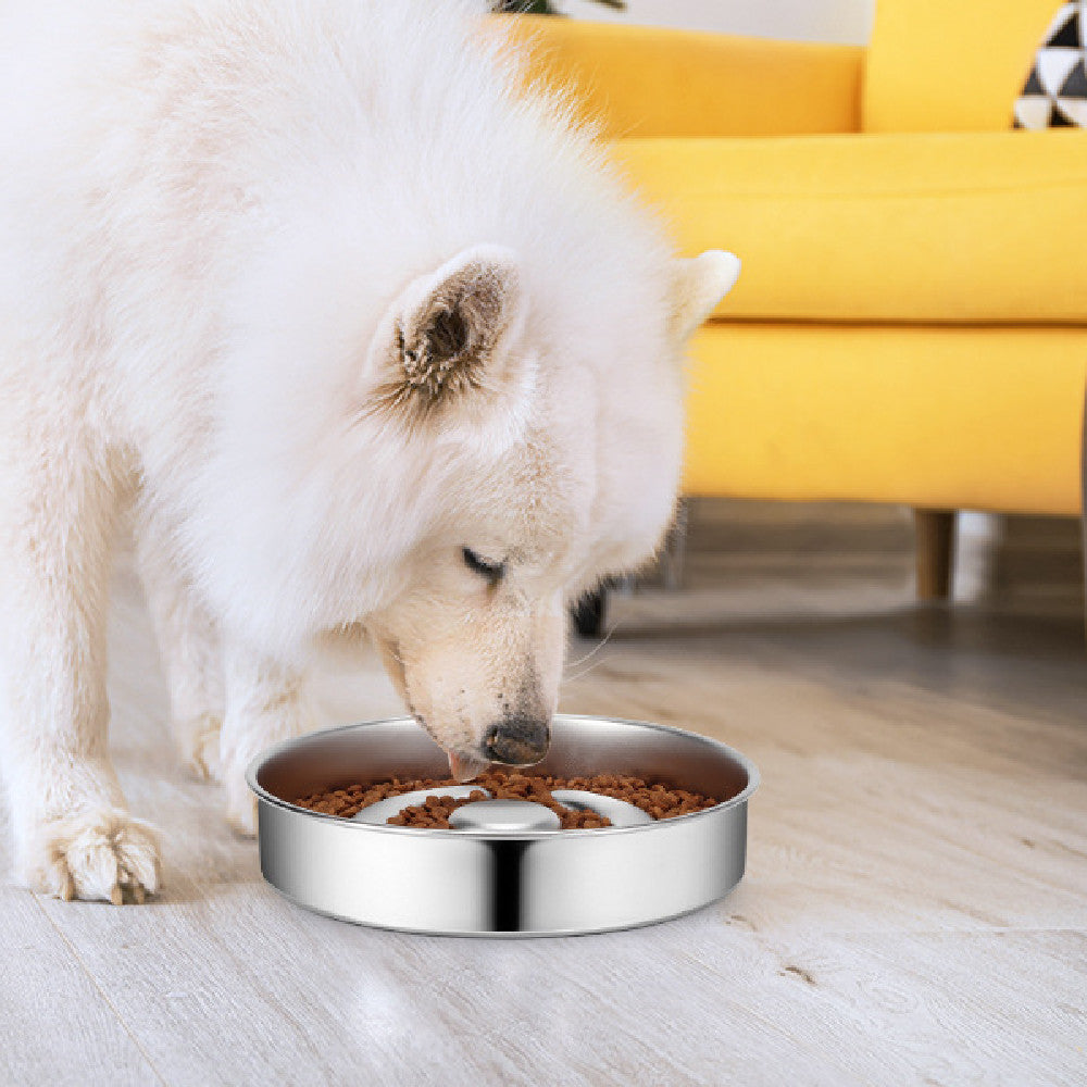 Bol d'alimentation lente pour animaux de compagnie, protecteur de cou en acier inoxydable