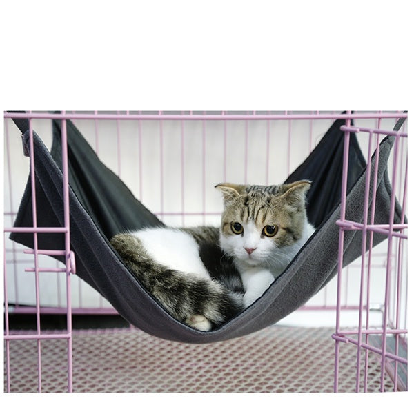 Hamaca para gatos Cama para gatos Tumbona Sofá Cojín Silla colgante desmontable