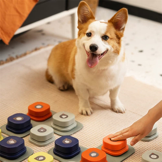 Bouton de Communication pour animaux de compagnie, 4 couleurs, en un clic, prévention de l'inactivité physique, bouton parlant pour chien, jouet pour chat, produits pour animaux de compagnie