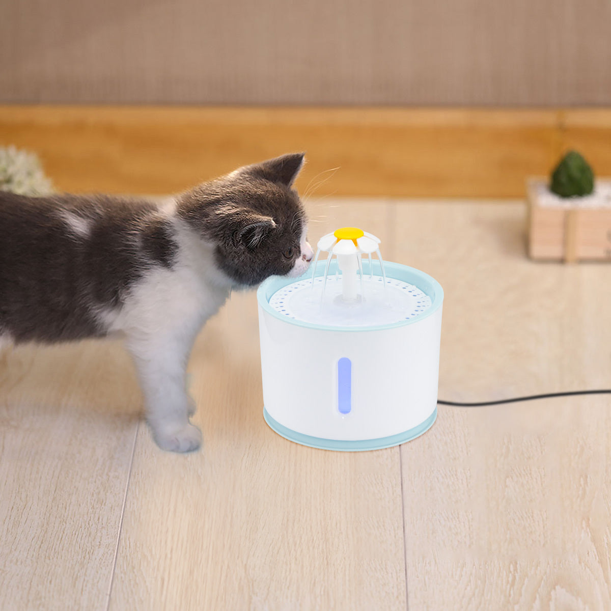 Fontaine à eau automatique pour chat avec lumière LED