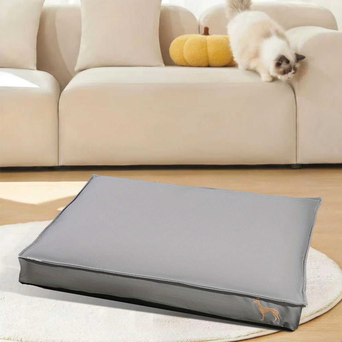 Tapis de litière pour chat imperméable, amovible et lavable, résistant aux rayures