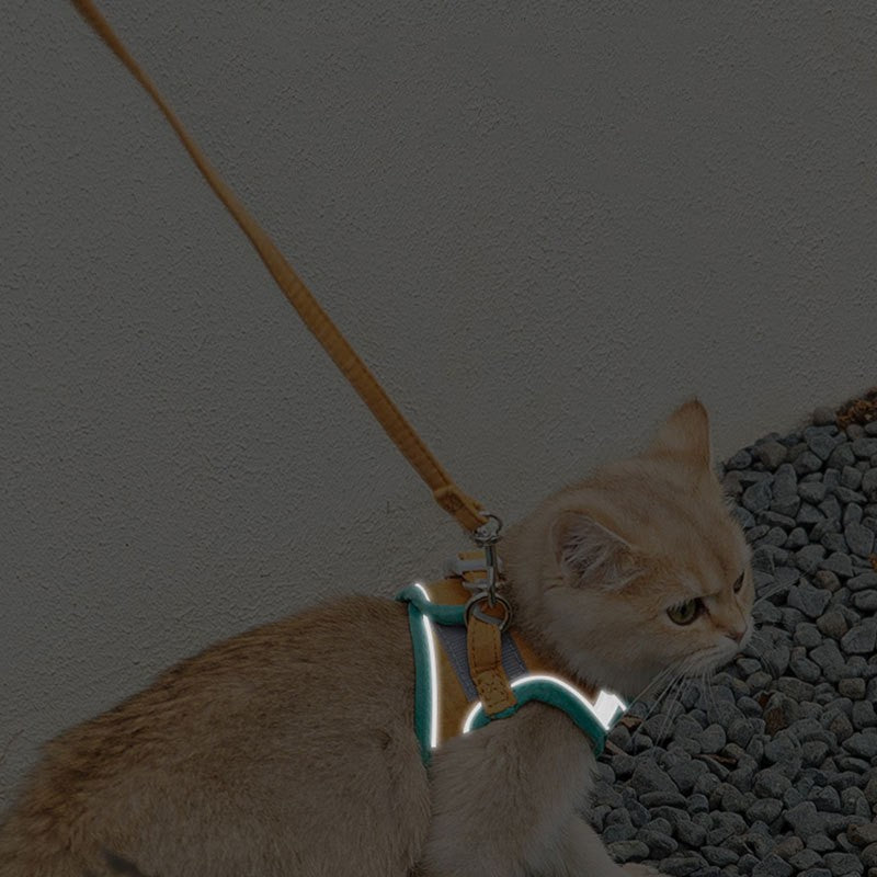 Corde de traction pour chat, Anti-rupture, ample, gilet réfléchissant, sangle de poitrine